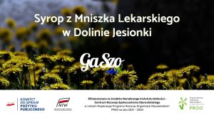 Read more about the article Syrop z Mniszka Lekarskiego